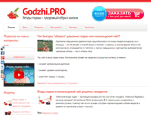 Tablet Screenshot of godzhi.pro